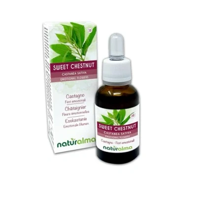 Abbildung von Sweet chestnut oder Esskastanie (Castanea sativa) Bach Blüten Naturalma Tropfen 30 ml Alkoholfreier Flüssigextrakt Blütenessenzen Vegan und alkoholfrei
