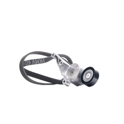 Abbildung von SKF VKMA 31091 Keilrippenriemensatz VOLKSWAGEN: Transporter 5, 5 Bus, Caddy 3, SEAT: Alhambra I