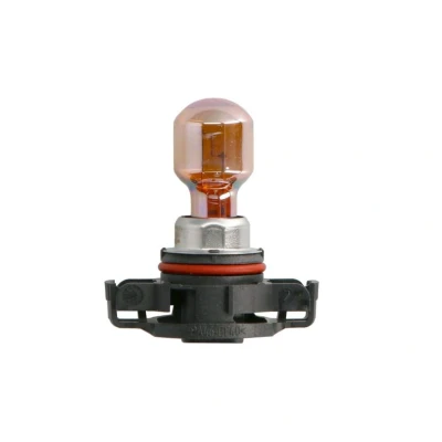 Abbildung von PHILIPS SilverVision 12180SV+C1 Glühlampe, Blinkleuchte silber 12 24 PSY24W VOLKSWAGEN: Polo V Hatchback, Passat B7 Variant, GOLF 6, BMW: X3