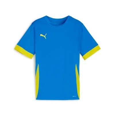 Abbildung von PUMA teamGOAL Matchday Jersey jr
