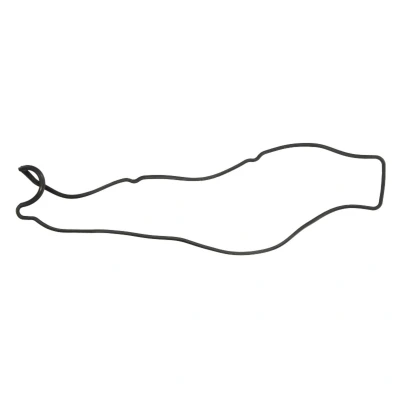 Abbildung von REINZ 71 10119 00 Ventildeckeldichtung LEXUS: GS II