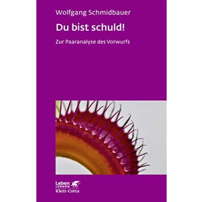 Abbildung von Du bist schuld! (Leben Lernen, Bd. 315): Zur Paaranalyse des Vorwurfs