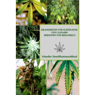 Abbildung von CANNABIS : KRANKHEITEN UND SCHÄDLINGE VON ERKENNEN BEHANDELN: Schneller Identifikationsschlüssel