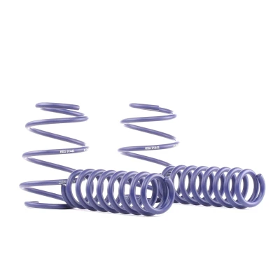 Abbildung von H&amp;R HR 288961 Tieferlegungsfedern kompatibel mit BMW 1/2er F20/F21/F22 2011 VA30 35/HA30 35mm