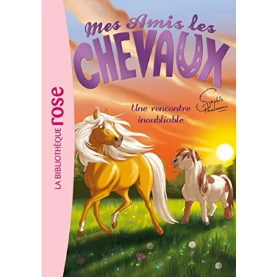 Abbildung von Mes amis les chevaux 06 Une rencontre inoubliable