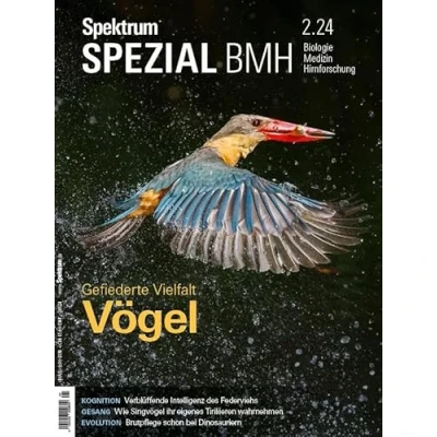 Abbildung von Spektrum Spezial BMH 2/2024 Vögel: Gefiederte Vielfalt (Spektrum Biologie, Medizin, Hirnforschung)