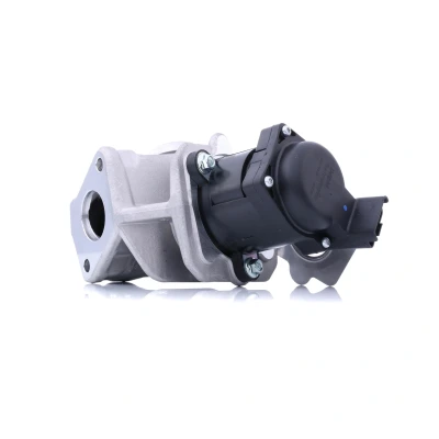 Abbildung von DELPHI EG10415 12B1 AGR Ventil mit Dichtungen FORD: FIESTA 5, Fusion Estate, PEUGEOT: 207 Hatchback, CITROËN: C2 Hatchback