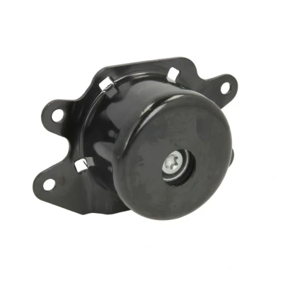 Abbildung von REINHOCH RH11 5035 Motorlager links Hydrolager OPEL: Combo C Box Body / Estate, Tigra Twintop, Corsa Hatchback