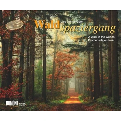 Abbildung von DUMONT Waldspaziergang 2025 Wandkalender, 60x50cm, Fotokunst Kalender mit beeindruckenden Fotografien aus dem Wald, im Querformat