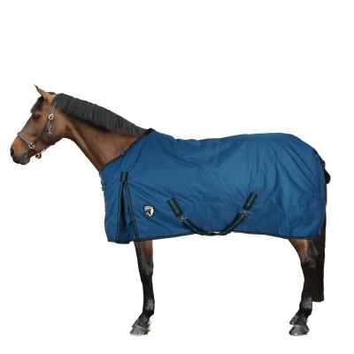 Abbildung von Horka Outdoordecke Dime 600D, 200g Petrol 105/155