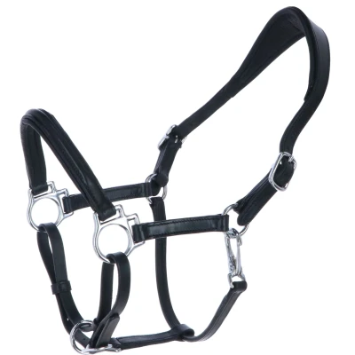 Abbildung von HB Halfter Showtime Little Sizes Leder Schwarz A Pony Agradi.deVerkauft von Agradi
