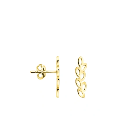 Abbildung von SOFIA MILANI Damen Ohrringe 925 Silber vergoldet/golden Blatt Ohrstecker E2383