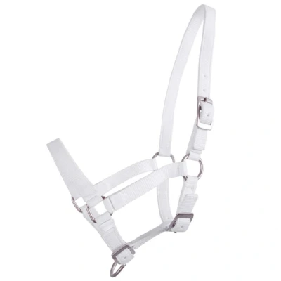 Abbildung von QHP Halter Foal