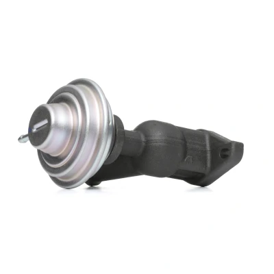 Abbildung von DELPHI EG10423 12B1 AGR Ventil PEUGEOT: 307 Estate, SW, 607 Saloon, CITROËN: Berlingo / First I