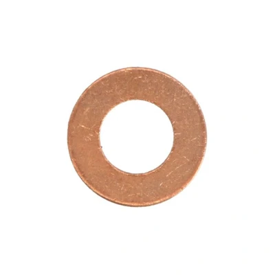 Abbildung von REINZ 40 70048 00 Dichtring PEUGEOT: 206 Hatchback, 307 SW, 807, FORD: Focus 2, Galaxy Mk2 MPV, CITROËN: C3 II
