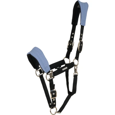 Abbildung von Catago SS25 Halter Grand Fir Tech