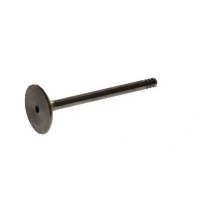 Abbildung von FRECCIA R4888/BM Einlaßventil 35,9 VOLKSWAGEN: GOLF 3 Cabrio, Passat B5 Saloon,