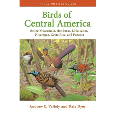 Abbildung von Birds of Central America: Belize, Guatemala, Honduras, El Salvador, Nicaragua, Costa Rica, and Panama (Princeton Field Guides)