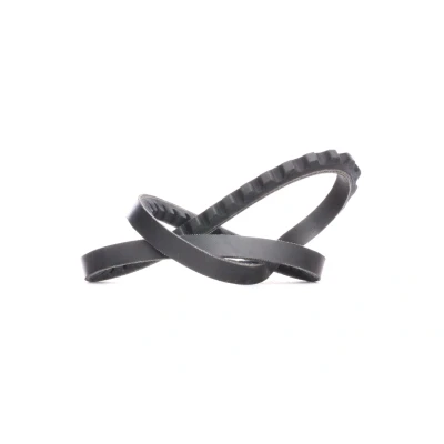 Abbildung von Keilriemen DAYCO 10A0665C