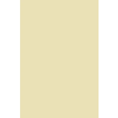 Abbildung von Netuno 50x Bastelpapier Creme DIN A4 210x 297 mm 100g Splendorgel Ivory Elfenbein Papier hochwertig bedruckbar Naturpapier Feinpapier Basteln dickes Druckerpapier Qualität Broschüren