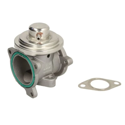 Abbildung von NRF 48611 AGR Ventil mit Dichtungen SKODA: Fabia 2, 1 Combi, VOLKSWAGEN: Polo IV Hatchback, AUDI: A2