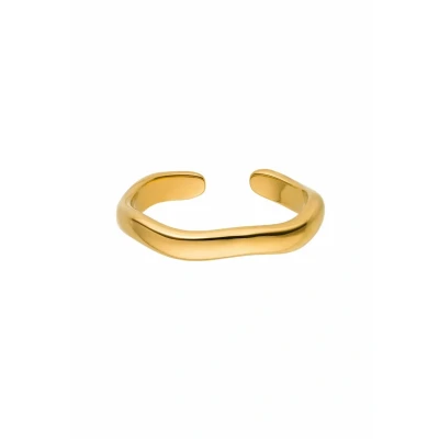 Abbildung von Purelei® Nakuna Ring (Gold,Silber,Rose) Damen Silber 18K vergoldet, Wasserfester mit geschwungenem Design, größenverstellbar, Geschenk für (M/L, Gold)