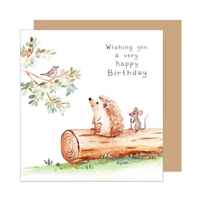 Abbildung von Edition Seidel Premium quadratische Geburtstagskarte mit Umschlag. Glückwunschkarte Happy Birthday Billet Karte für Kind Mädchen Junge Frau Freundin Freund Igel Maus Vogel (GQ374 SW025)