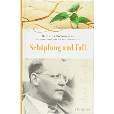 Abbildung von Schöpfung und Fall: Theologische Auslegung von Genesis 1 3