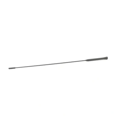 Abbildung von AIC 53911 Antenne FORD: FIESTA 4, Focus C Max, 5