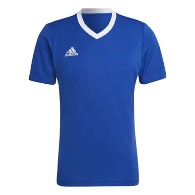 Abbildung von adidas Herren Entrada 22 Jersey, Royal Blue, M