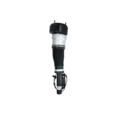 Abbildung von Magnum Technology APM013MT Luftfederbein vorne
