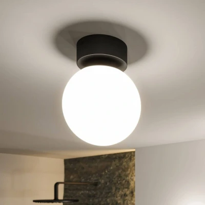 Abbildung von Paulmann 71072 LED Deckenleuchte Selection Bathroom Gove IP44 3000K 900lm 230V 9W Schwarz matt, Satin Badleuchte
