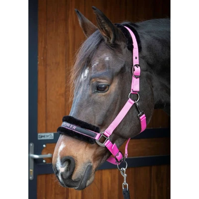 Abbildung von Harry&#039;s Horse Halfterset Lyrics Quotes RosaVerkauft von Agradi