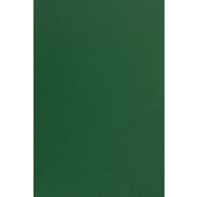 Abbildung von Netuno 25x Tonkarton Dunkel Grün DIN A4 210x 297 mm 210g Sirio Color Foglia Bastelkarton Ton Zeichen Karton zum basteln Bedrucken Kreativkarton farbig für Weihnachts Karten Hochzeitskarten