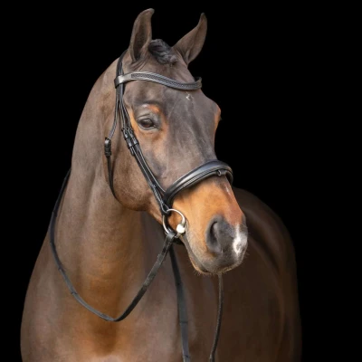 Abbildung von Imperial Riding English Bridle