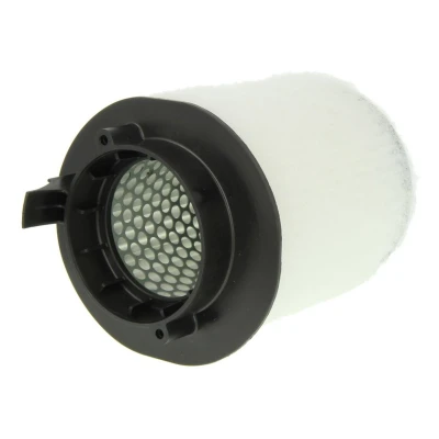 Abbildung von CORTECO 80004668 Luftfilter 150 250 Filtereinsatz AUDI: R8 Coupe