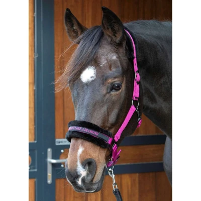 Abbildung von Harry&#039;s Horse Halfterset Lyrics Quotes FuchsiaVerkauft von Agradi