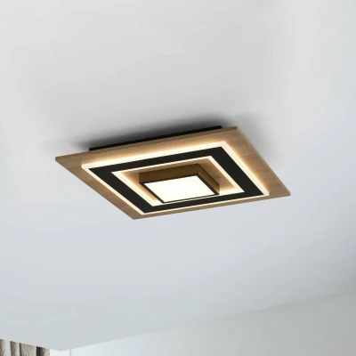 Abbildung von JUST LIGHT Deckenleuchte »TOLA«, 2 flammig, Leuchtmittel LED Board fest integriert, LED, separat steuerbar (Schalter)