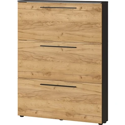 Abbildung von Germania Schuhschrank 3884 549 GW Wildomar, in Graphit/Navarra Eiche Nb., Platz für bis zu 12 Paar Schuhe, geringe Tiefe ideal schmale Flure, 100 x 129 19 cm (BxHxT)