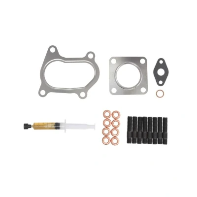 Abbildung von AJUSA JTC11446 Montagesatz, Lader with studs, syringe oil mit Dichtungen Montageanleitung