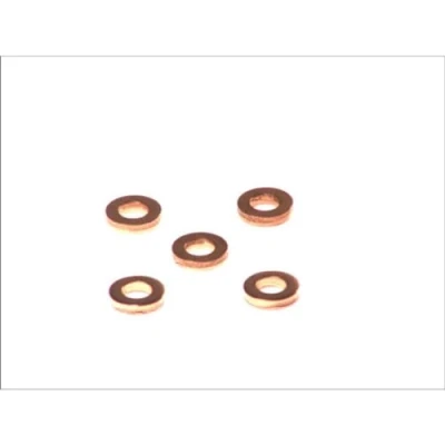 Abbildung von DELPHI 9001 850C Dichtring, Düsenschacht RENAULT: SCENIC 2