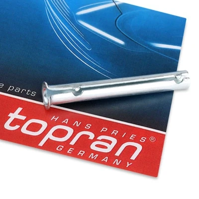Abbildung von TOPRAN 206 055 Türscharnier OPEL: Astra F CC, H Hatchback