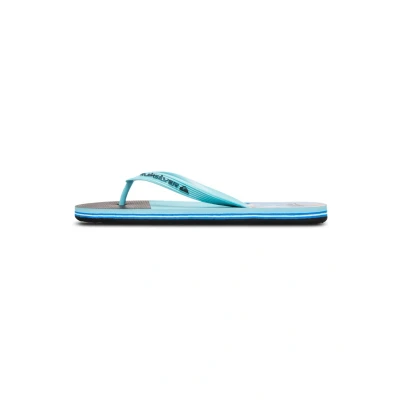 Abbildung von Quiksilver Molokai Stripe 25 Badezehentrenner, Herren, Größe: 46, Bqv Kunststoff