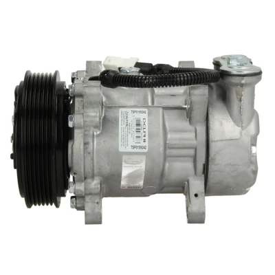Abbildung von DELPHI TSP0159242 Kompressor Sanden SD6V12 PAG 46 mit Kompressoröl PEUGEOT: 206 Hatchback