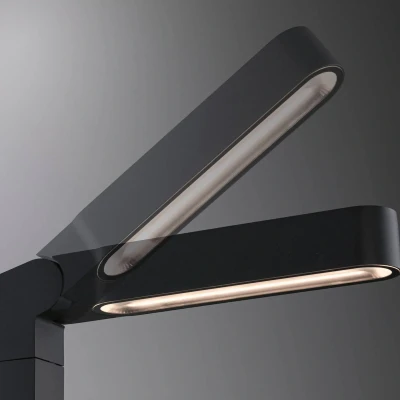 Abbildung von Paulmann 94547 Plug &amp; Shine LED Außenleuchte Pollerleuchte Ito Vertikale Ausrichtung IP65 1x6 Watt Anthrazit Metall, Kunststoff 3000 K