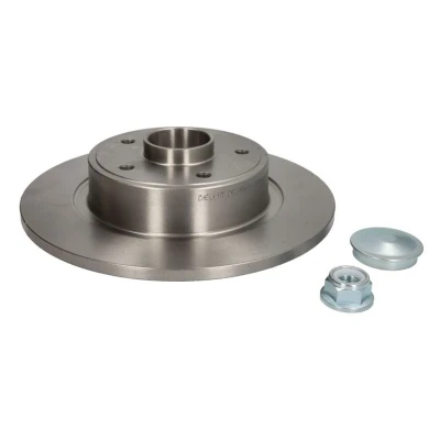 Abbildung von DELPHI BG9115RS Bremsscheibe 270 10 5 voll geölt unbehandelt mit Radlager, ABS Sensorring RENAULT: SCENIC 3, 2, GRAND 3