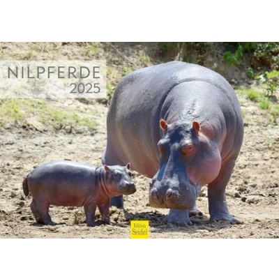 Abbildung von Edition Seidel Premium Kalender Nilpferde 2025 Format DIN A3 Wandkalender Tierkalender Afrika Nilpferd Großflusspferd Hippopotamus Nil Raubtiere Wildtiere