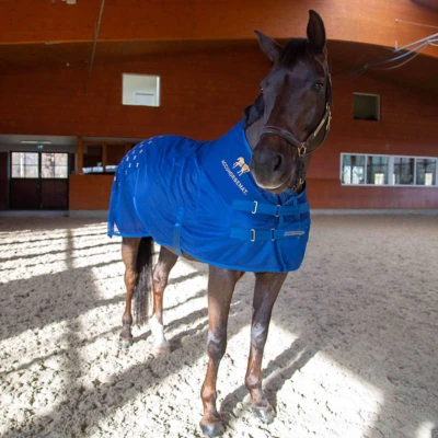 Abbildung von Accuhorsemat Decke Cooler mit Accupressure Mat Blau L