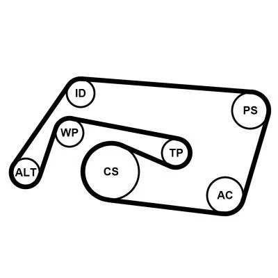 Abbildung von CONTITECH 6PK2260K2 Keilrippenriemensatz MERCEDES BENZ: CLK Coupe, C Class Saloon, T modell