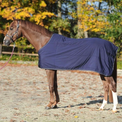 Abbildung von Kavalkade Unterdecken 50g Navy 155/205